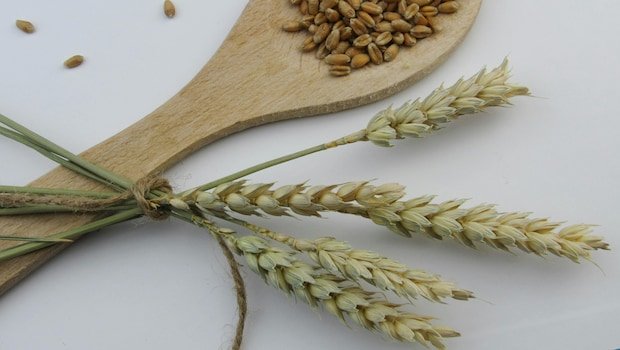 Rice, Wheat Or Millet: Which Carbohydrate Option Is Better For Your Meals?