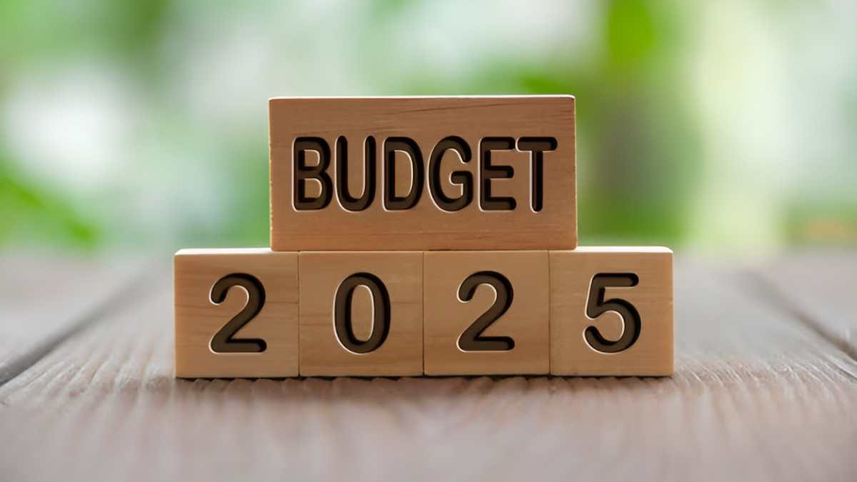 Budget 2025: शिक्षा में AI और परमाणु ऊर्जा मिशन के साथ स्टार्टअप्स के लिए 10 हजार करोड़ रुपये