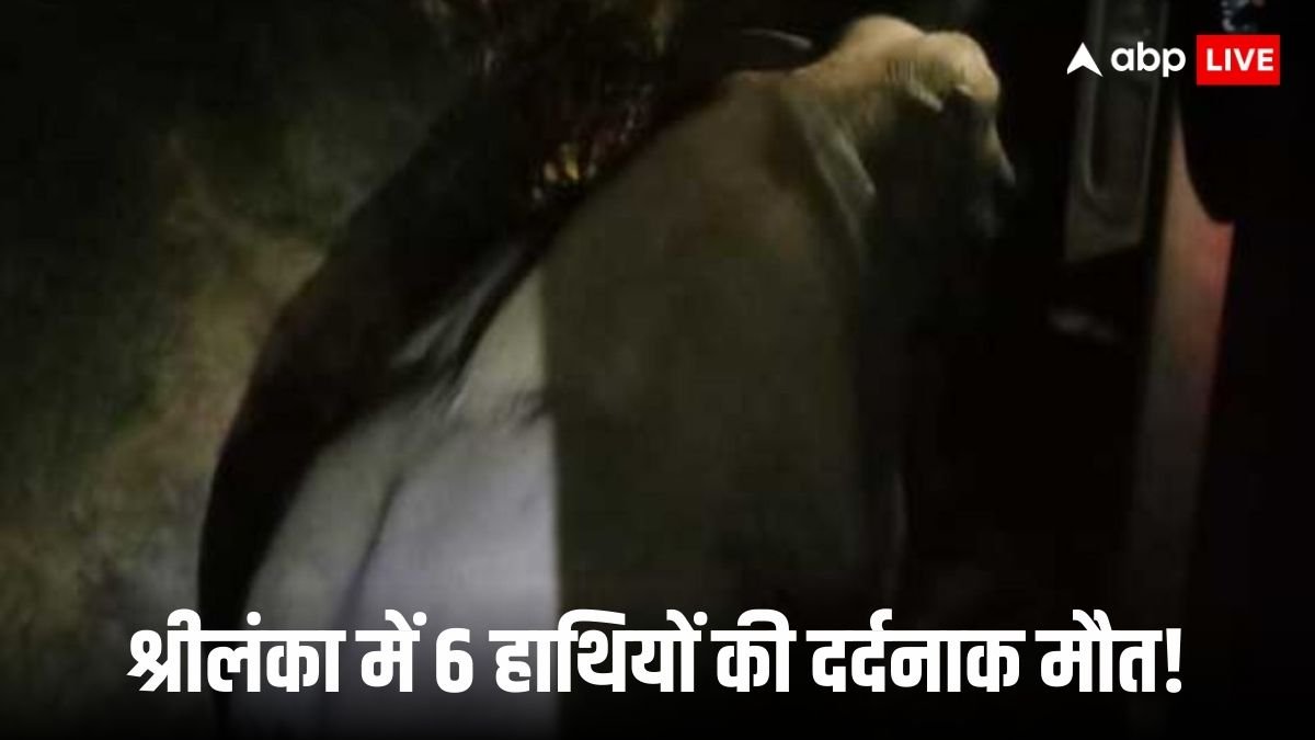 श्रीलंका के हबराना इलाके में बड़ा रेल हादसा, पैसेंजर ट्रेन हाथियों के झुंड से टकराई