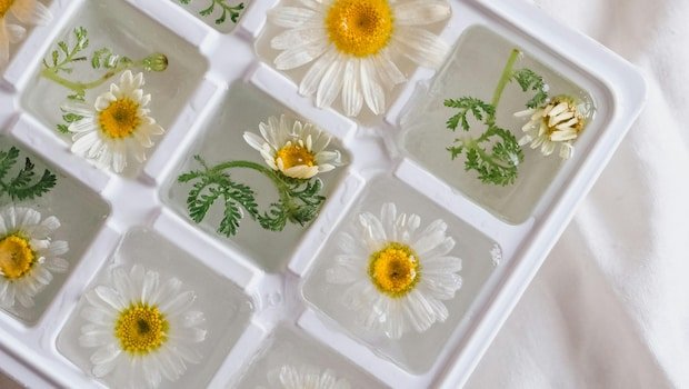6 Genius Ways Ice Cube Trays Can Level Up Your Summer Kitchen Game