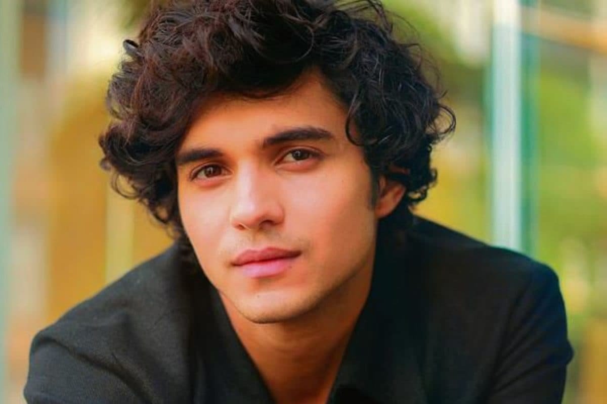 Abhay Verma As James Potter? Desi Potterheads Want Munjya Star In Harry Potter Series