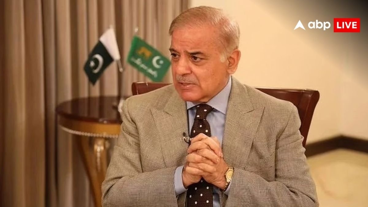 पाकिस्तान ने चीन से खरीदा फाइटर जेट, अब J-35 का डेटा हो गया लीक; टेंशन में आ गए शहबाज शरीफ