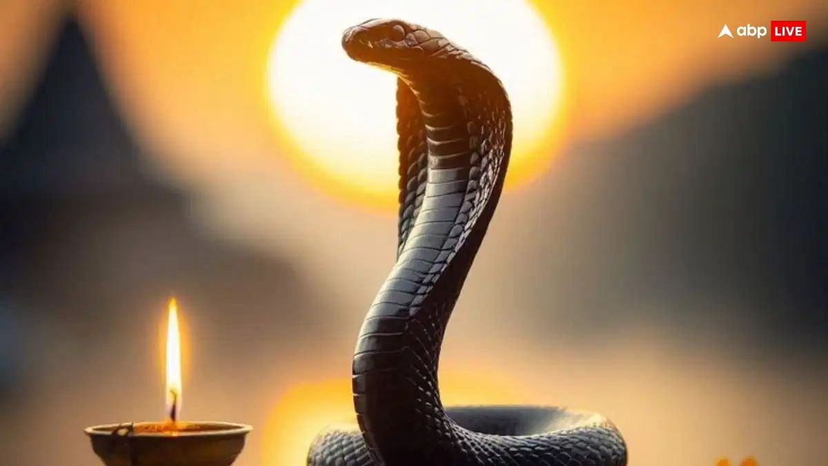 Nag Panchami 2025: 42 साल तक रहता है कालसर्प दोष, लेकिन नाग पंचमी पर इन उपायों को करने से टल जाता है बड़ा खतरा!