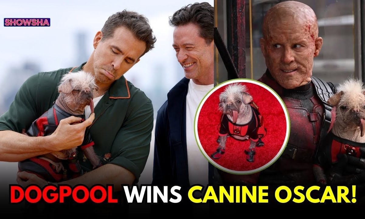 Deadpool & Wolverine Star Peggy AKA Ryan Reynolds Dogpool Wins Big At Canine Oscars | WATCH; N18G