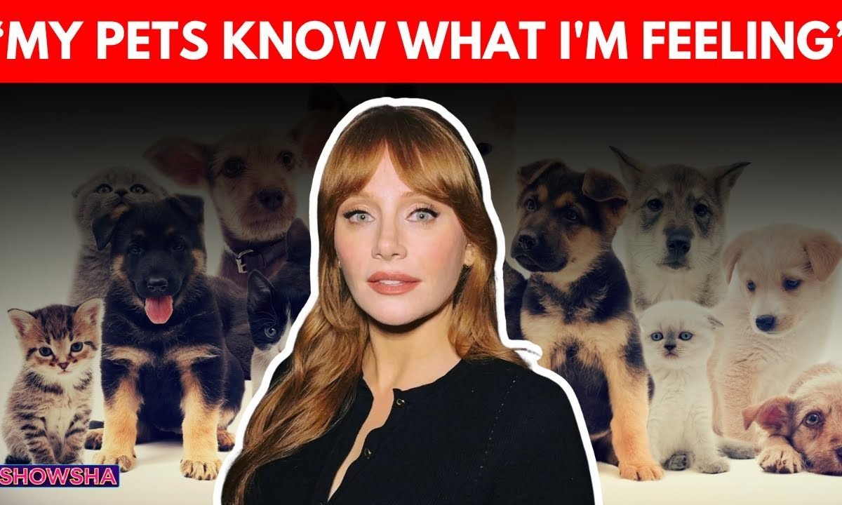 Bryce Dallas Howard Gets Real About Emotional Human-Pet Bonds In New Documentary Pets | N18G