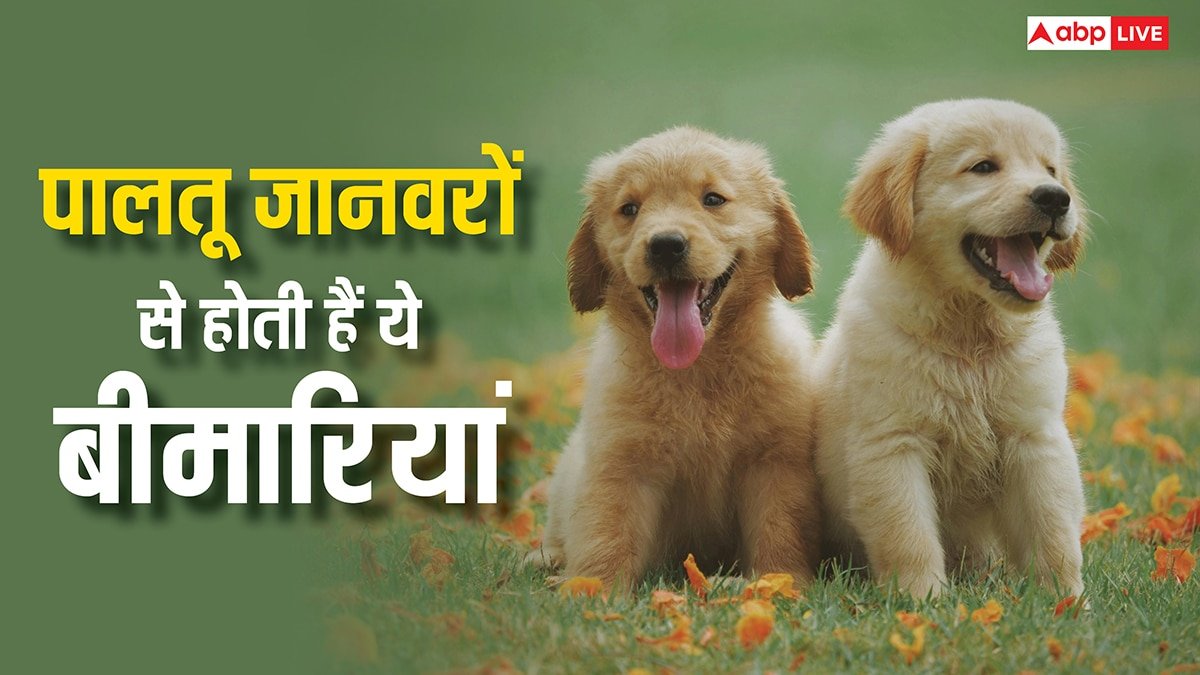 घर में रखते हैं पालतू जानवर? फैल सकती हैं इतनी खतरनाक बीमारियां