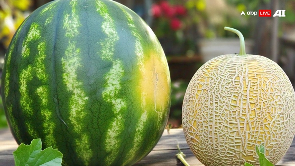 Health Tips: भीषण गर्मी में ऐसा तरबूज और खरबूजा सेहत के लिए हो सकते हैं हानिकारक, जानिए क्यों?