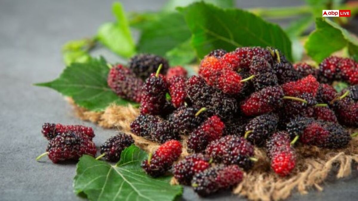 कई बीमारियों का रामबाण है शहतूत, खाते ही ये 6 बीमारियां हो जाएंगी दूर