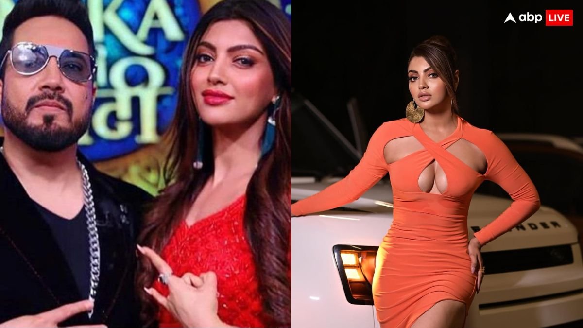 हमने बहुत पैसा कमाया... मीका सिंह के स्वंयवर में उनकी दुल्हन बनीं थी एक्ट्रेस, शो के बाद तोड़ा रिश्ता