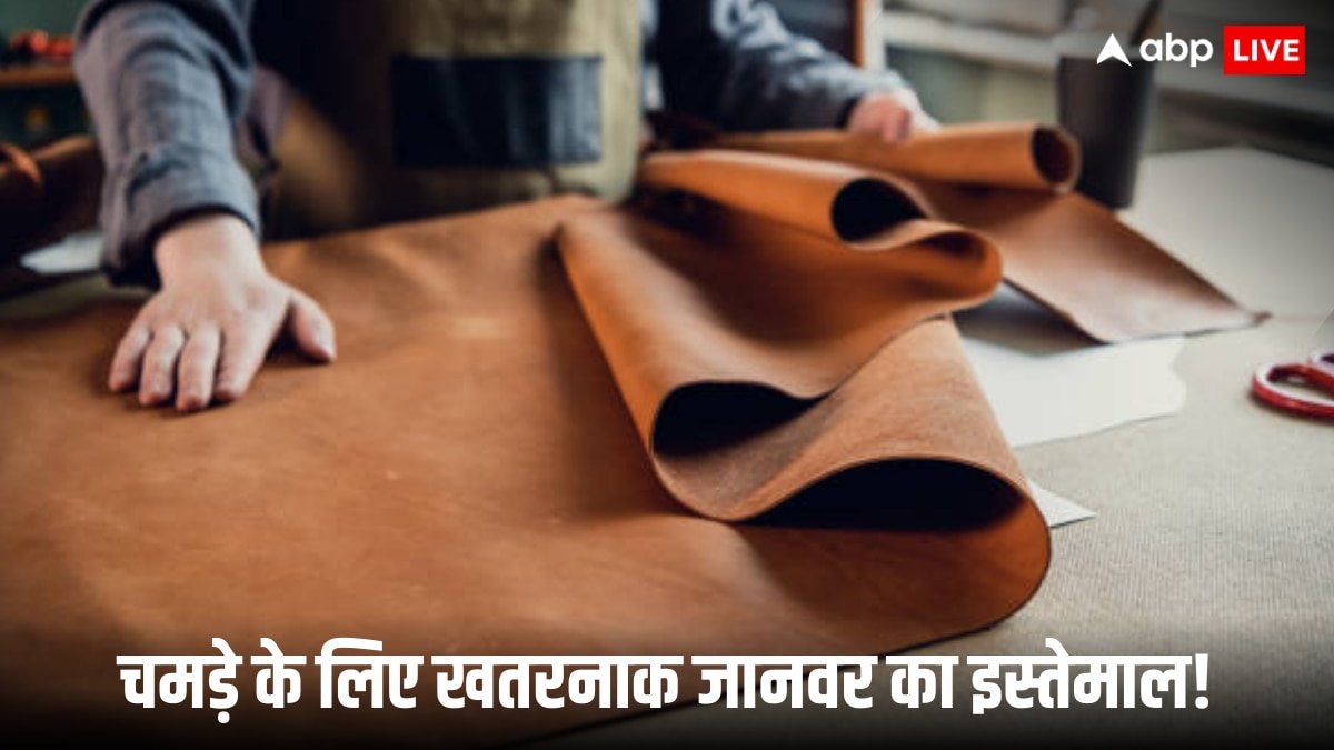 Pakistan Crocodile Farming: चमड़े के लिए पाकिस्तान ने उठाया बड़ा कदम! इस खतरनाक जानवर को पालने पर दिया जोर