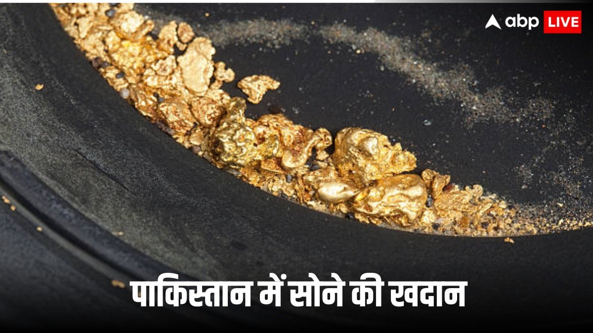 पाकिस्तान के हाथ लगा जैकपॉट! 800 अरब रुपये का सोना पाने के लिए मची होड़, कैसे मालामाल हो रहे लोग?