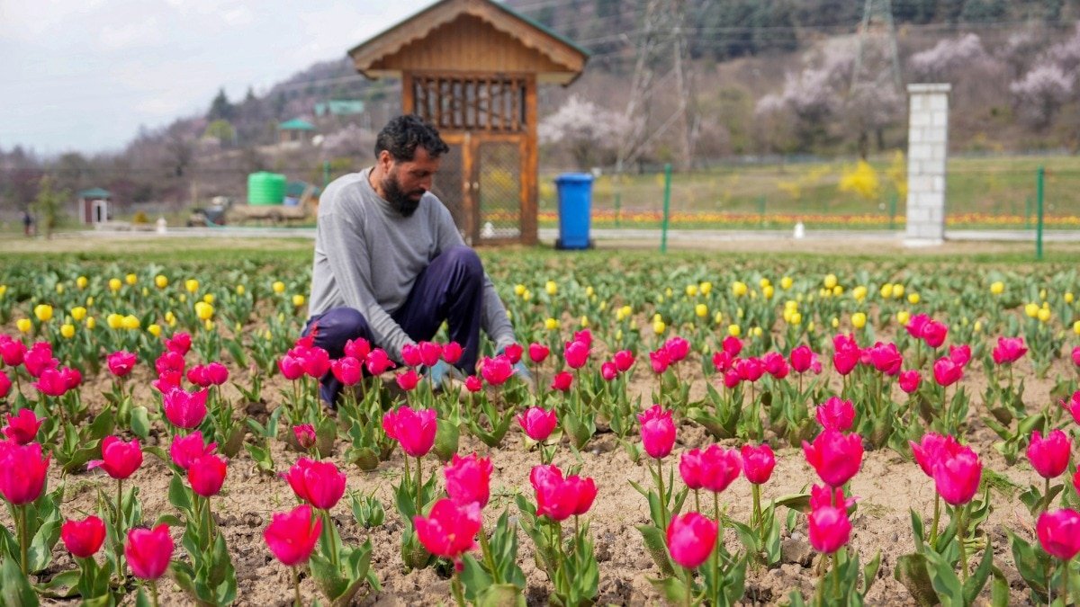 इस महीने मिलता है फूलों से सजा कश्मीर, कई गुना बढ़ जाती है जन्नत की खूबसूरती