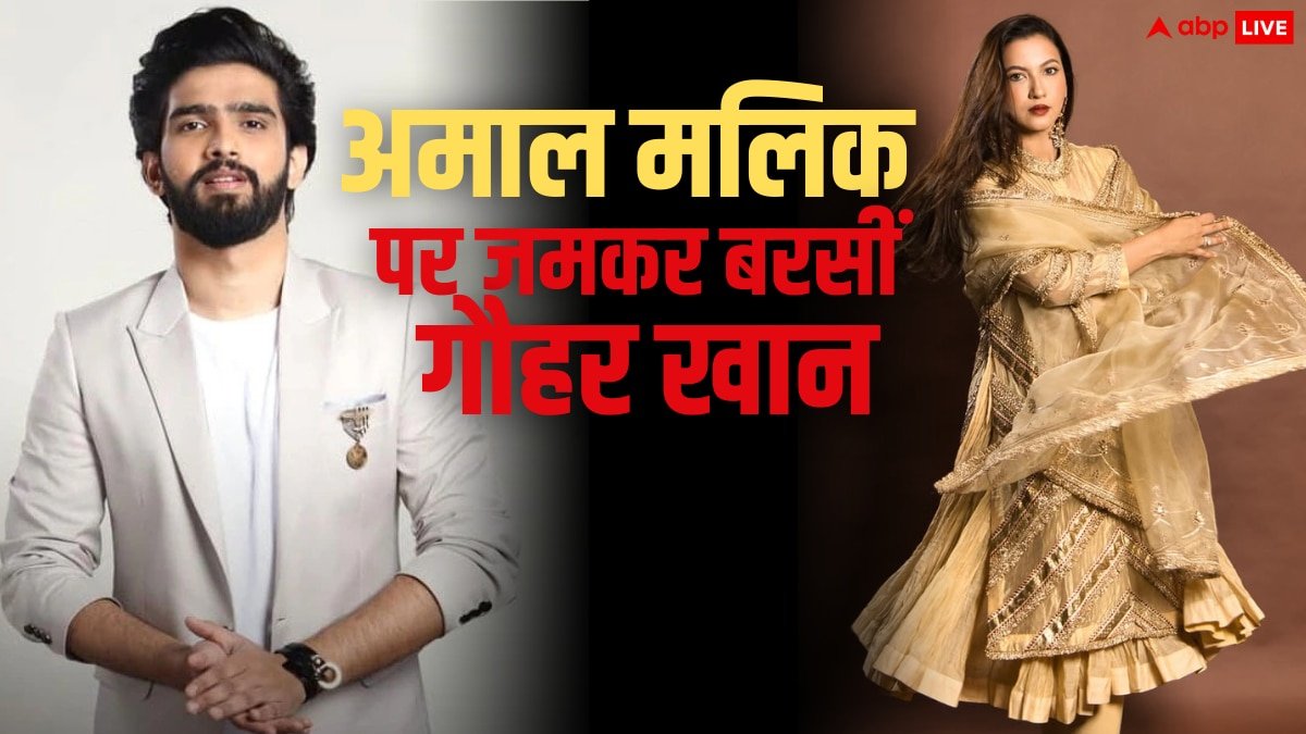 ‘घर का लिहाज रखें और जुबान साफ करें..’, अमाल मलिक पर भड़कीं गौहर खान, जानें क्यों लगाई लताड़