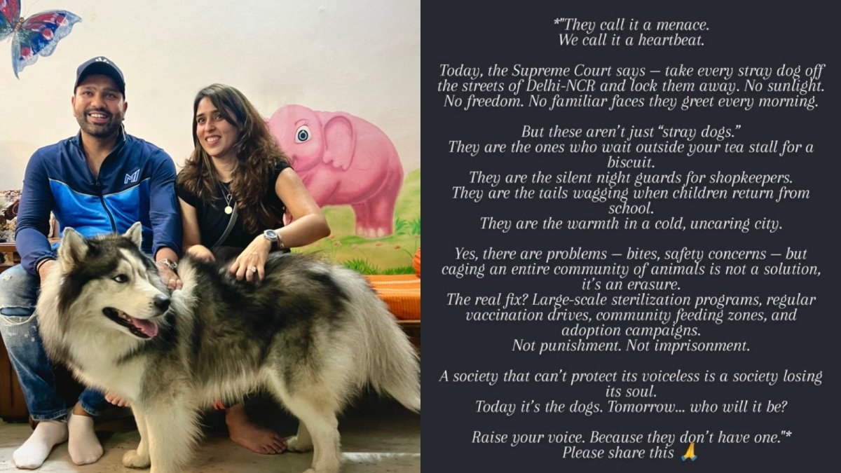 कुत्तों को लेकर सुप्रीम कोर्ट के आदेश पर आया रोहित शर्मा की वाइफ रितिका सजदेह का रिएक्शन, जानें क्या कहा