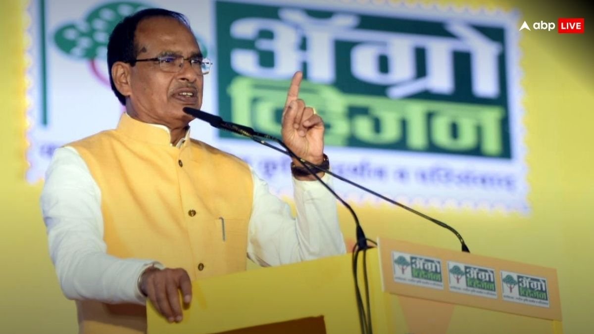 किसी की दादागिरी से डरते नहीं, आंखों में आंखें डालकर..., ट्रंप की टैरिफ धमकियों के बीच बोले शिवराज सिंह चौहान