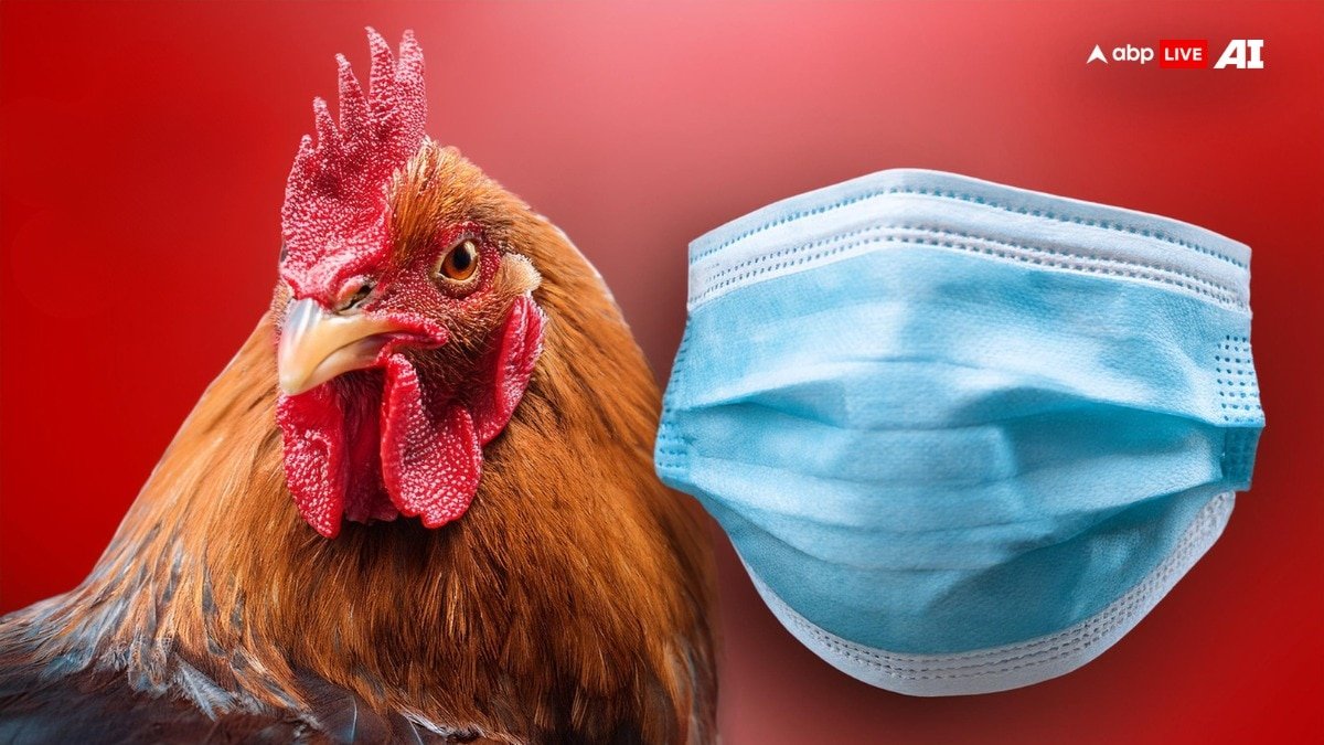 इंसानों के लिए कितना ज्यादा घातक है बर्ड फ्लू? सबसे पहले दिखते हैं ये लक्षण