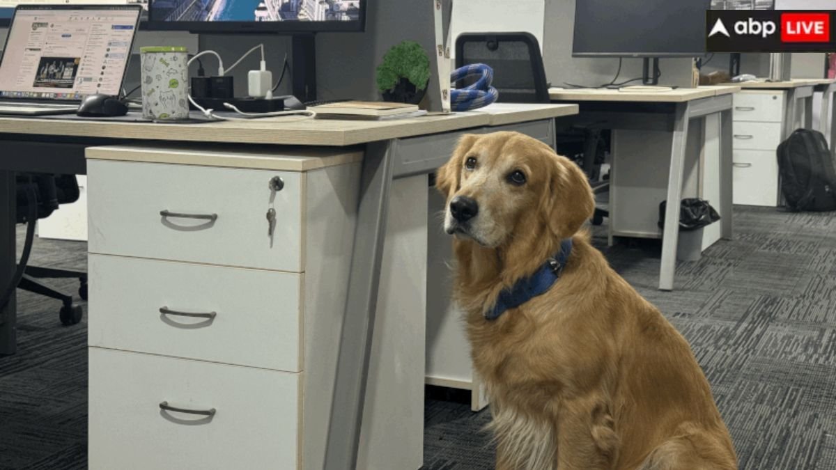 वाह, ऑफिस हो तो ऐसा! कंपनी के इस अनोखे फैसले से सारे वर्कर्स खुश, इस पहल ने जीत लिया लोगों का दिल