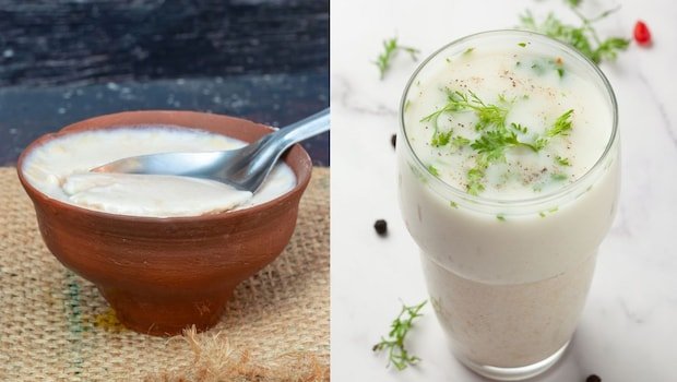 Curd Or Buttermilk: Which One Is Better For You? Expert Weighs In
