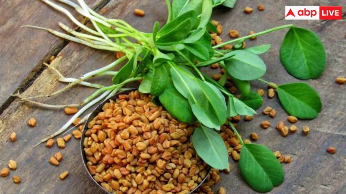 मेथी के छोटे बीज के हैं बड़े फायदे, कोलेस्ट्रॉल से लेकर शरीर के सूजन को करता है कम