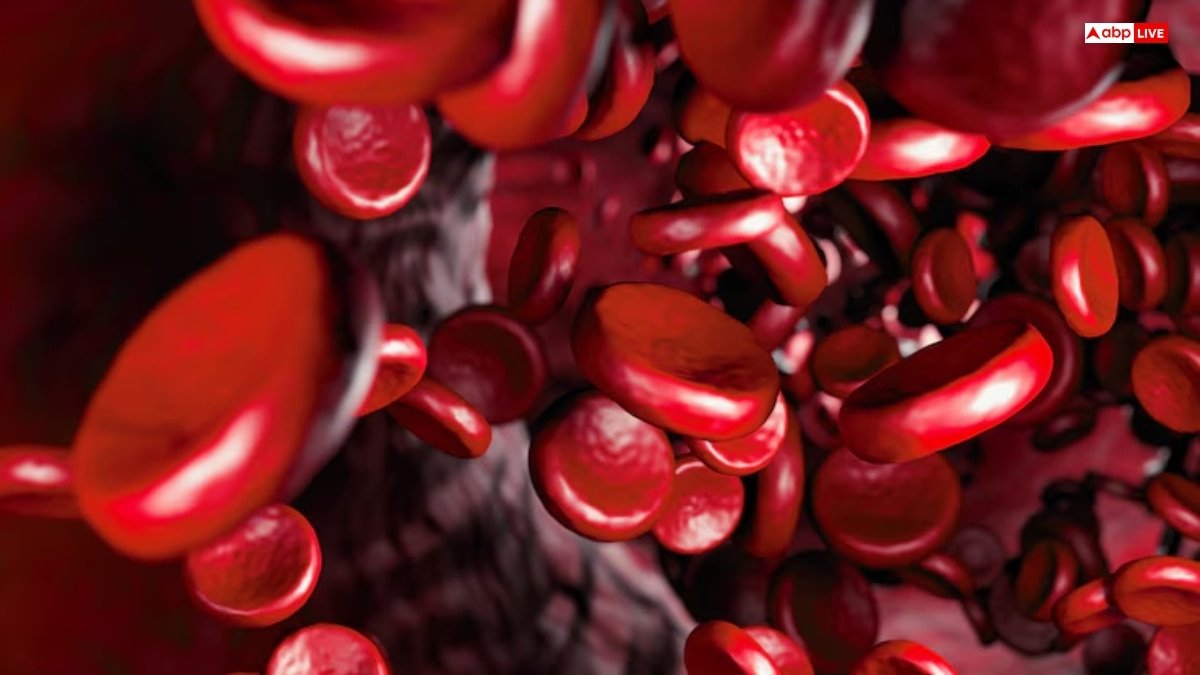 इन फूड्स के कारण शरीर में जमने लगता है खून, कहीं आप तो नहीं कर रहे इनका सेवन