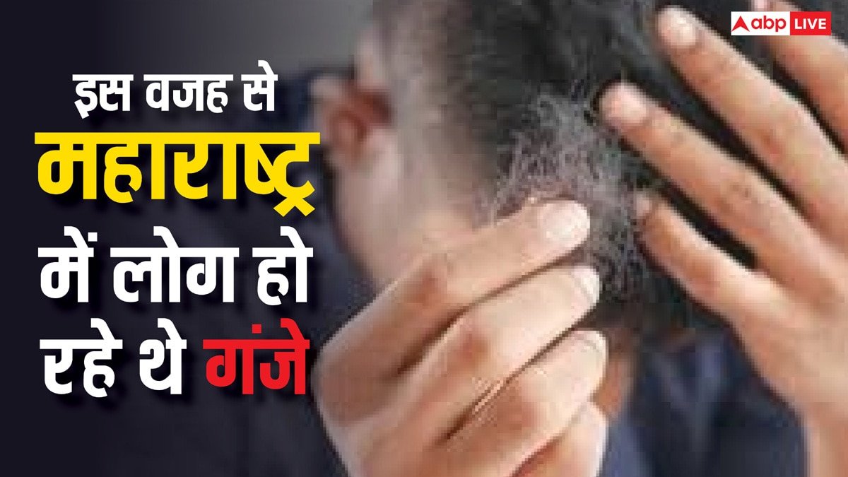 महाराष्ट्र में गेहूं की वजह से अचानक गंजे हो रहे थे लोग? रिपोर्ट में किया जा रहा बड़ा दावा