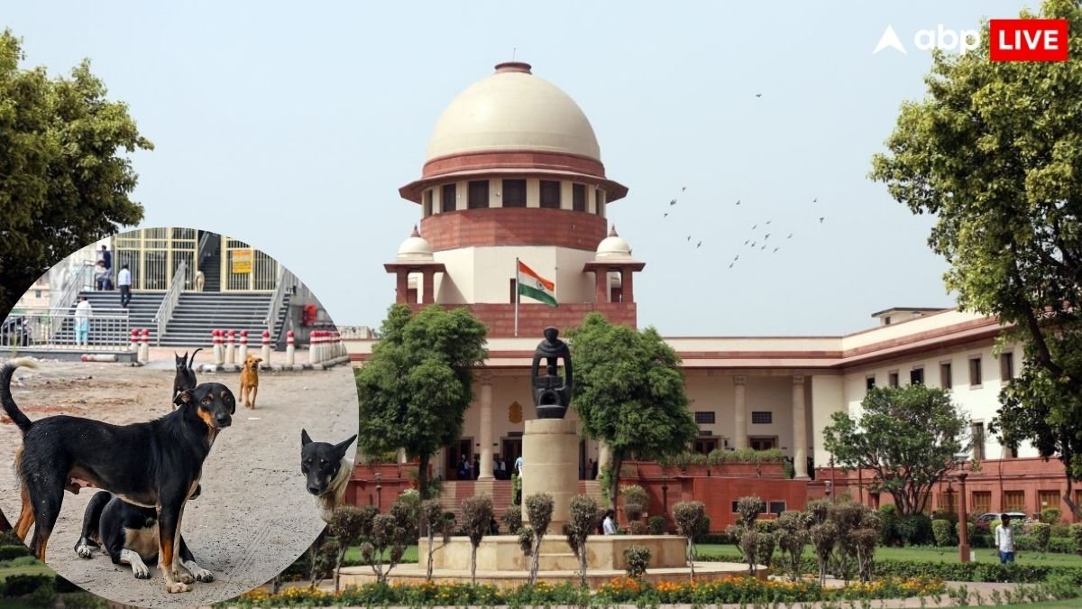 सुप्रीम कोर्ट ने आवारा कुत्तों से जुड़ा मामला तीन जजों की बेंच को सौंपा, कल होगी सुनवाई