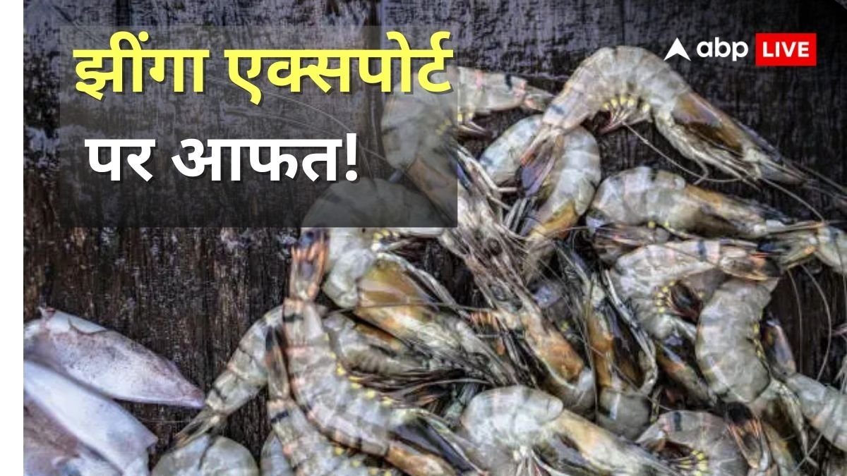 एक और झटका! भारत से झींगा एक्सपोर्ट पर टैरिफ लगाने की अमेरिकी सांसदों ने कर दी डिमांड