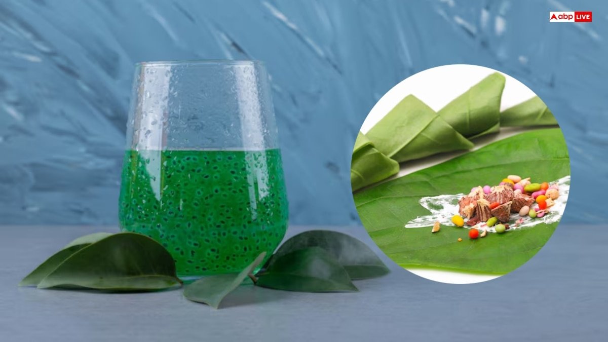 गर्मियों में रोजाना पिएं पान के पत्तों का पानी, इन परेशानियों से मिलेगी छुट्टी