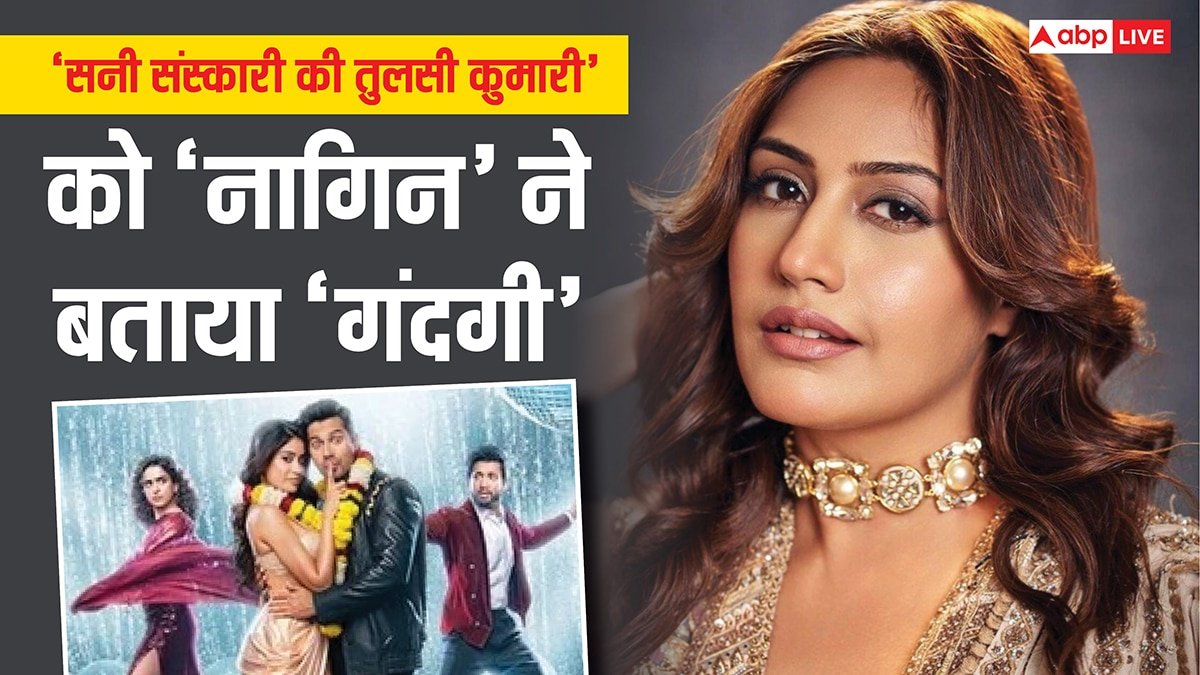 सनी संस्कारी की तुलसी कुमारी देखने पहुंची Tv की नागिन, फिर हुआ कुछ ऐसा कि क्लाइमैक्स में बोलीं- बंद करो इसे