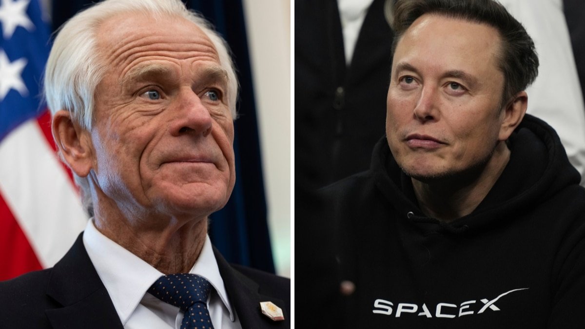 Video: लड़के तो लड़के होते हैं, पीटर नैवारो और एलन मस्क के बीच छिड़ी बहस पर व्हाइट हाउस का रिएक्शन वायरल