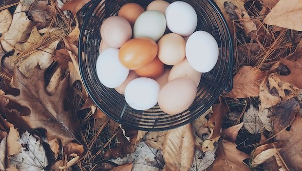 How To Tell If Eggs Have Gone Bad? Try This Phone Flashlight Trick, Suggests Fitness Influencer