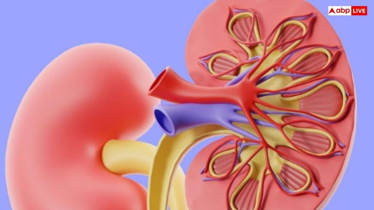 चेहरे पर दिखाई दे ये 6 संकेत समझ जाएं किडनी होने वाली है फेल, तुरंत जाएं अस्पताल