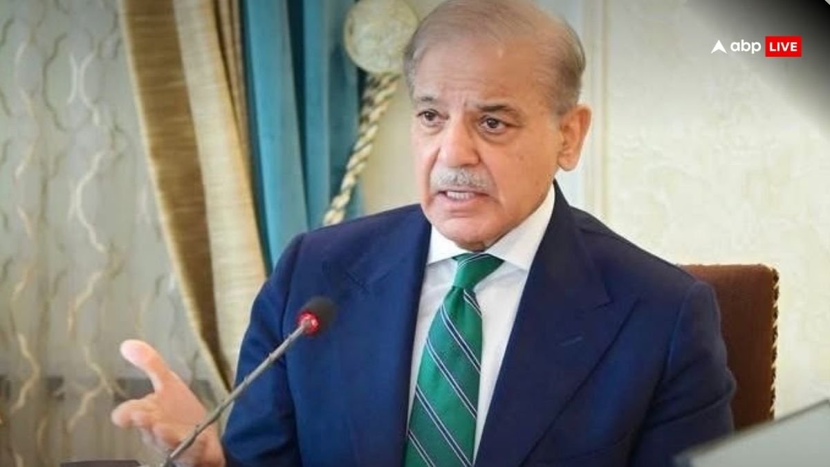 स्वतंत्रता दिवस के भाषण में शहबाज शरीफ ने भारत को कहा दुश्मन, बोले- पानी की एक बूंद भी रोकी तो खुदा की कसम...