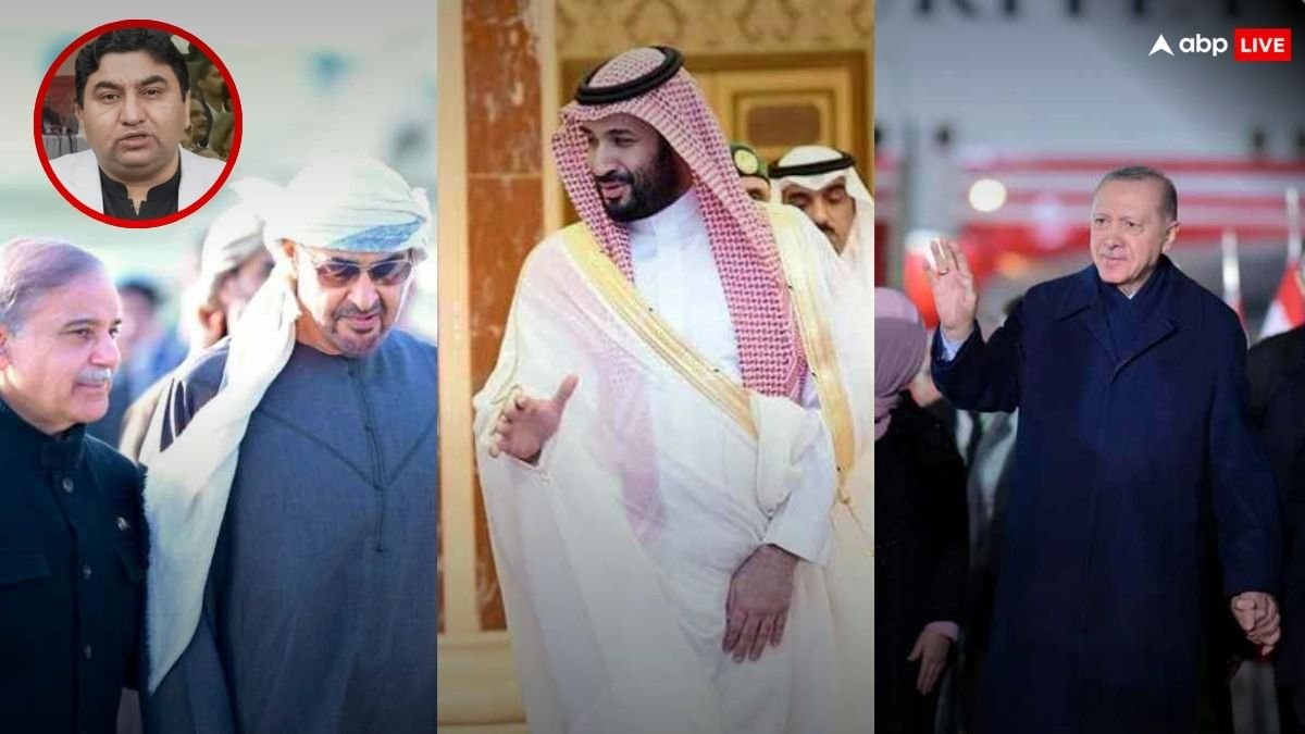 तुर्किए, सऊदी, UAE बस ये ही हैं दोस्त? PAK एक्सपर्ट ने शहबाज सरकार से कहा- भाई, मुस्लिम मुल्कों से जरा बाहर निकलो, वरना...