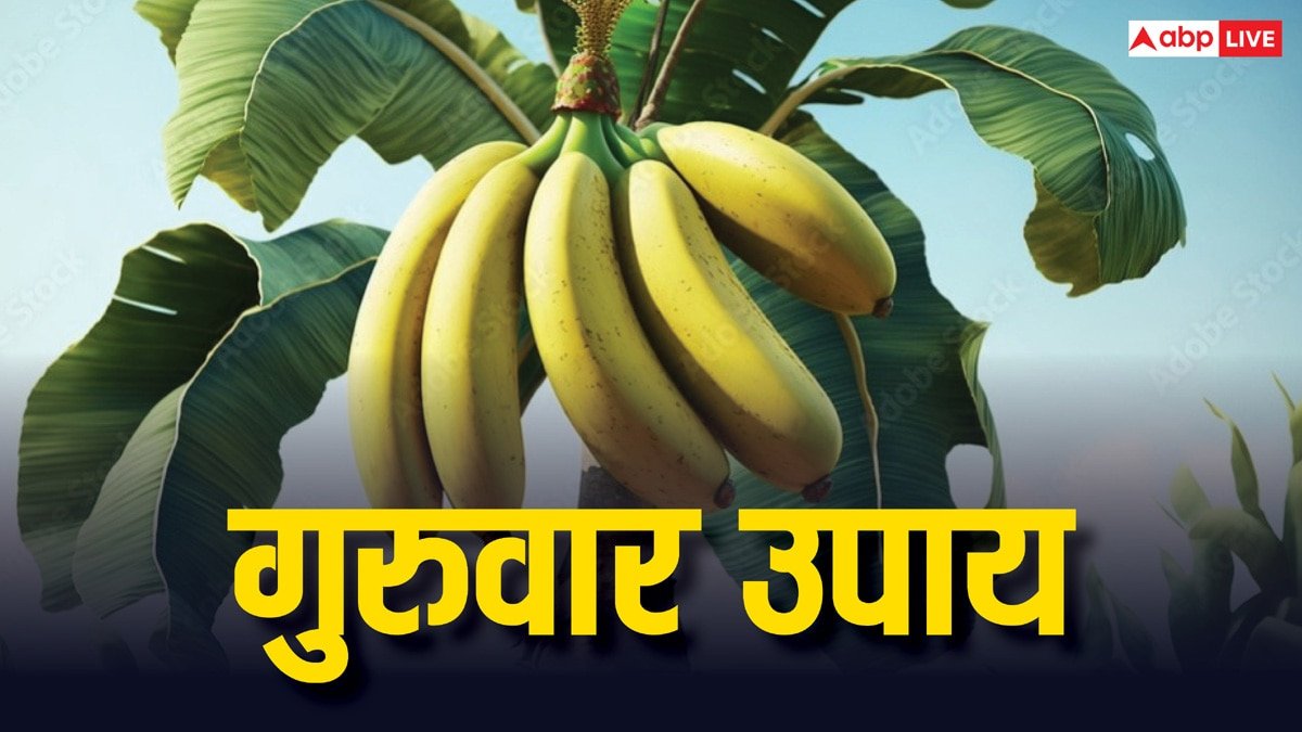 Guruwar Upay: केले की जड़ से जुड़ा कौन सा उपाय भाग्य बदल सकता है ?