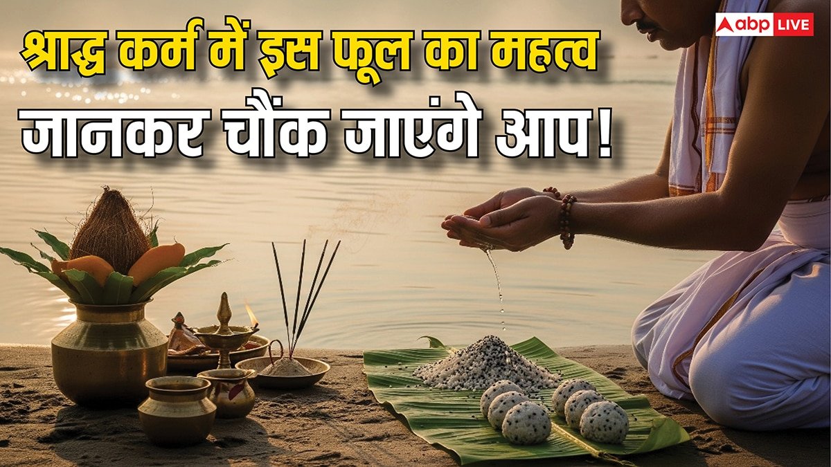 Kash Ka Phool: श्राद्ध में इस फूल का महत्व जानकर चौंक जाएंगे आप! पितृ दोष से मुक्ति का अचूक उपाय