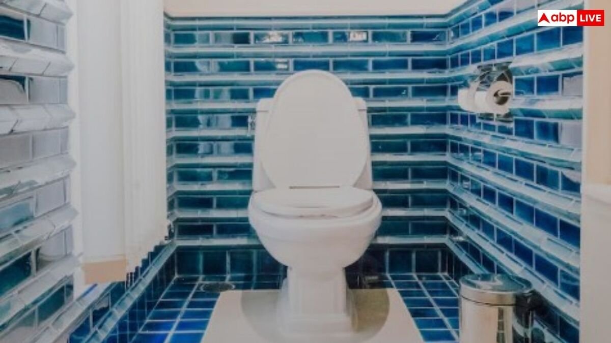 क्या आप पब्लिक टॉयलेट में सीट पर बैठने से बचती हैं? ये आदत आपकी सेहत को बिगाड़ सकती है