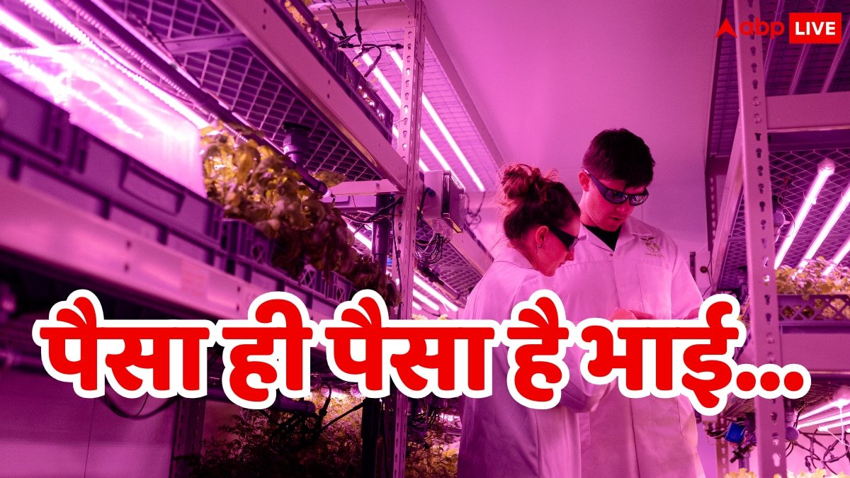 घर बैठे पति-पत्नी कमा रहे 50 लाख, सिर्फ एक बार की मेहनत और पानी से निकल रहा सोना