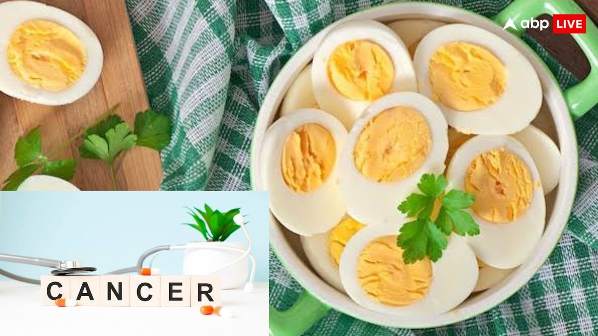 क्या अंडे खाने से भी बढ़ता है कैंसर होने का खतरा? इस स्टडी में सामने आई होश उड़ाने वाली हकीकत
