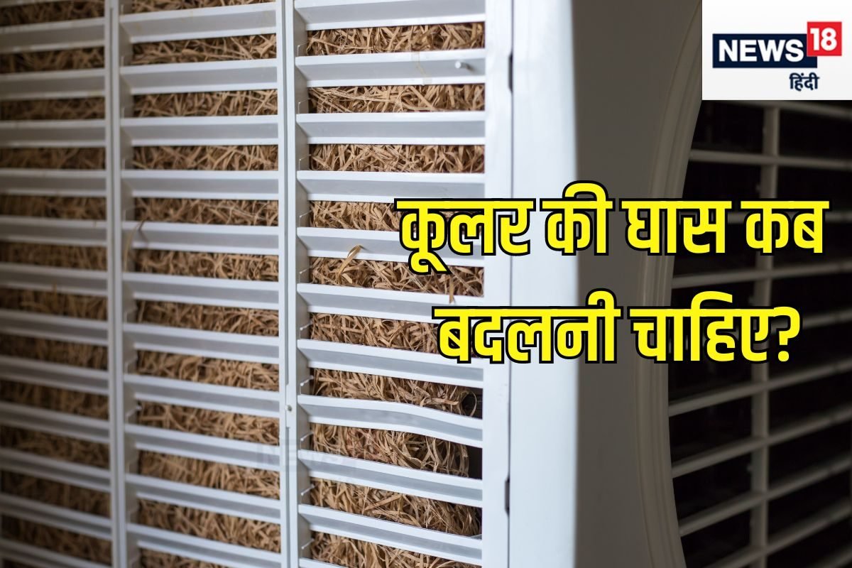 कब बदलनी चाहिए कूलर की घास? एक गलती कर दी तो पूरी गर्मी नहीं मिलेगी ठंडी हवा