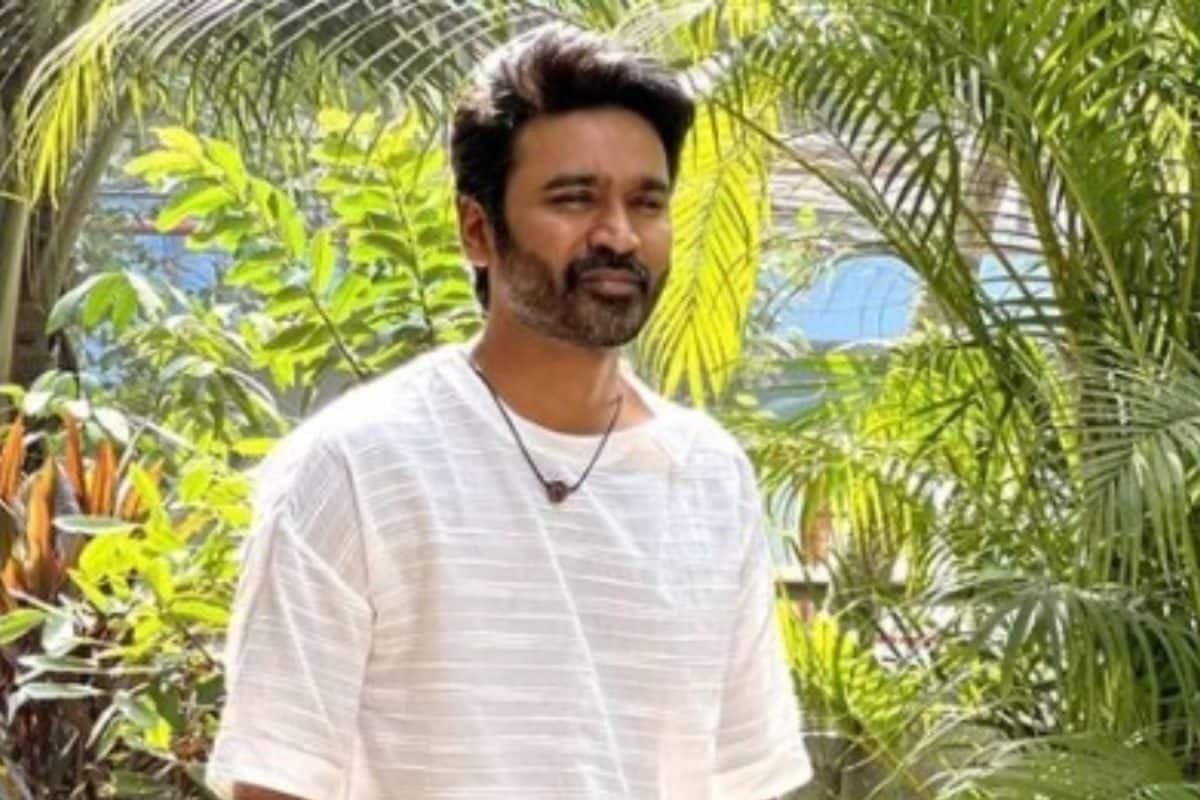 Tere Ishk Mein To Zootopia 2: Films You Cannot Miss In Theatres This Week