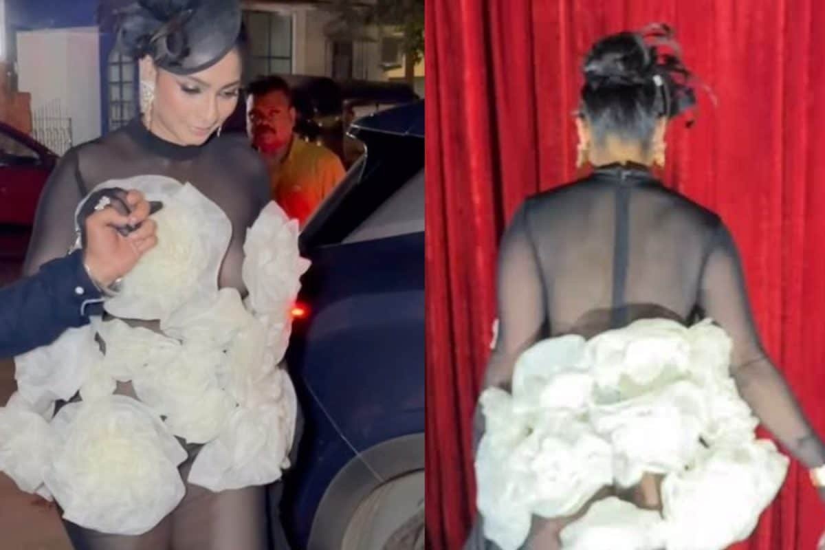 Tanishaa Gets TROLLED For Mesh Dress With Fabric Roses, Fans Call It Plastic Bag: Like Urfi Javed...