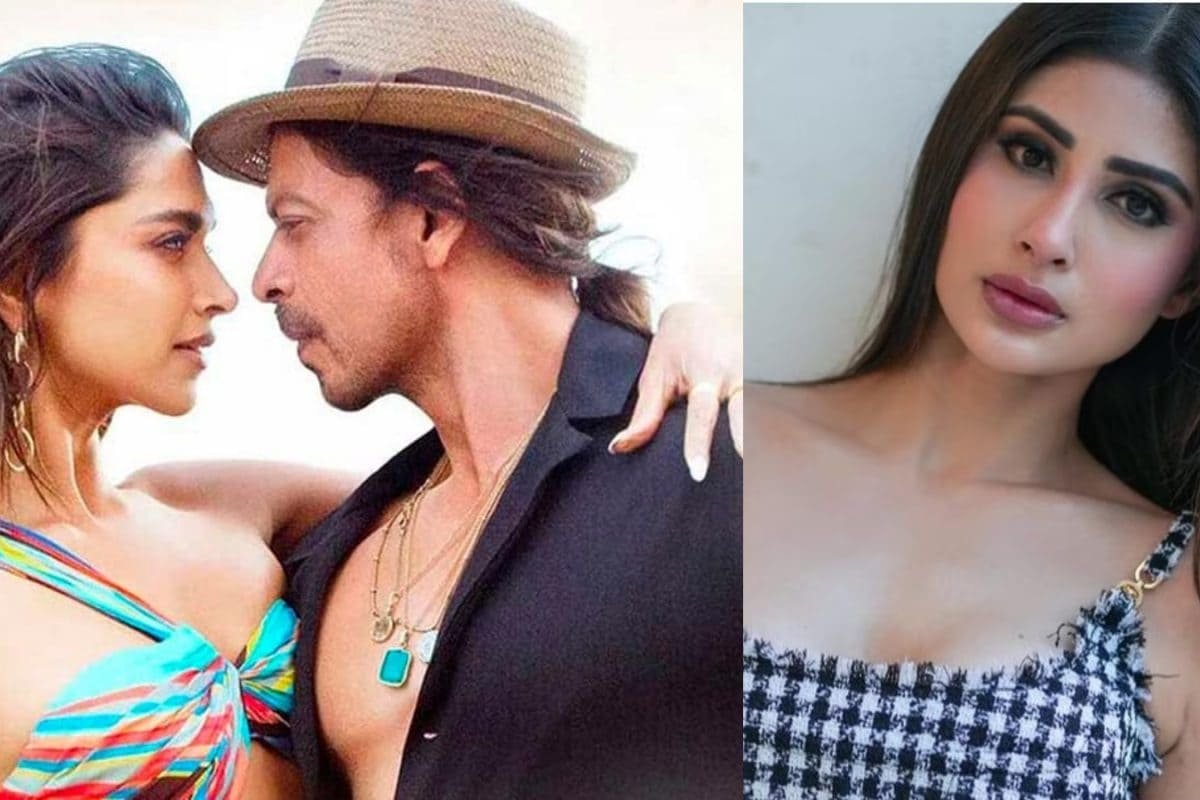 Deepika Padukone To Star In Shah Rukh Khans King, Mouni Roy Hints At Racism At Heathrow Airport