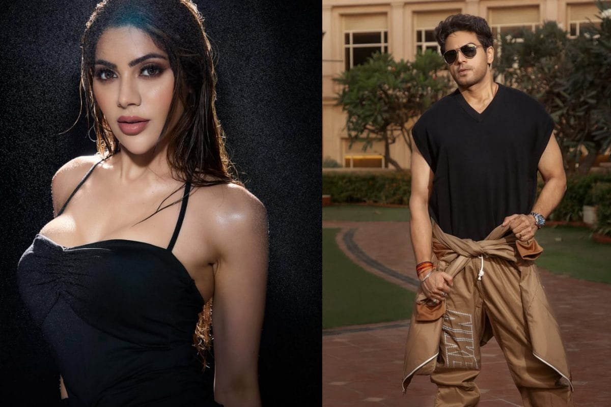 Anupamaa Star Gaurav Khannas SHOCKING Reaction Viral As Nikki Tamboli Says Hes Not A Man: Isne Check Kiya