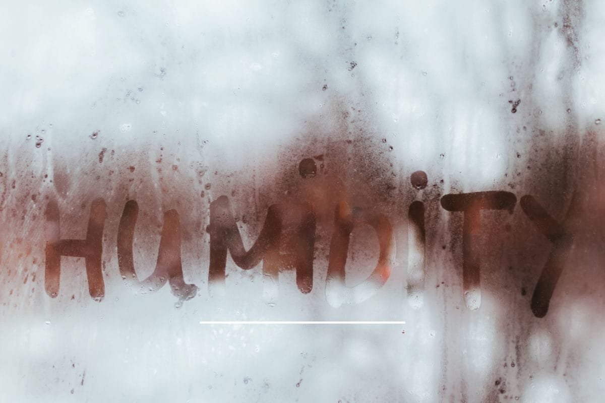 बारिश में चिपचिपाहट को कहें बाय-बाय, अपनाएं ये 5 टेक टिप्स