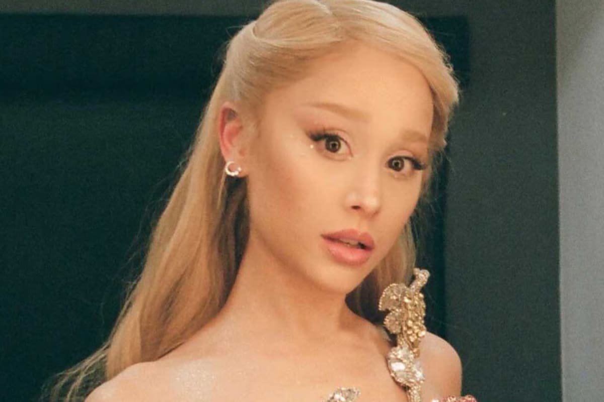 Ariana Grandes Attacker Sentenced To Jail, Accused Of Public Nuisance