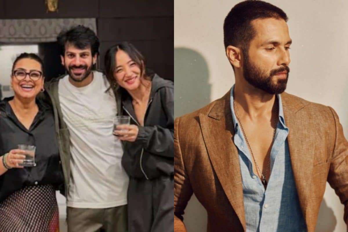 Karan Veer Mehras Drunk Video With Chum Darang Goes Viral; Shahid Kapoor Recalls His Past Relationships