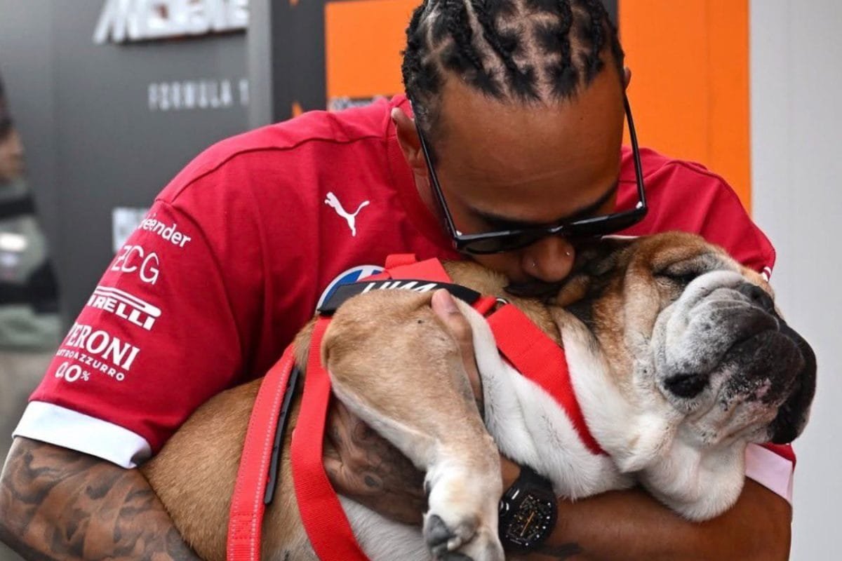 Heartbreak For Lewis Hamilton! Seven-Time F1 Champion Reveals His Pet Dog Roscoe Died