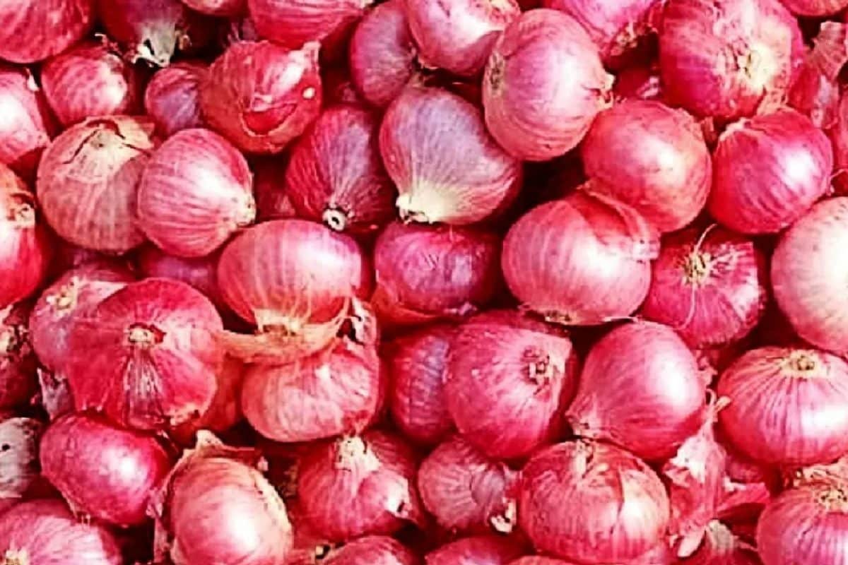 Onion Prices To Increase? Govt Withdraws 20% Export Duty On Onion Effective April 1