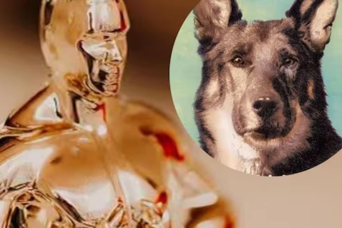 Did You Know: The First Oscar Almost Went To A Dog Who Worked In 27 Films